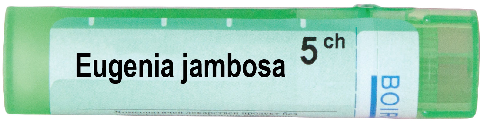Eugenia Jambosa 5 CH